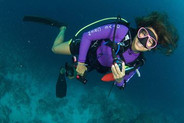 Margo Peyton, Kids Sea Camp/Family Dive Adventure, SC, USA