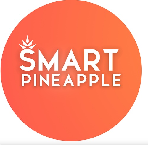Smart  Pineapple
